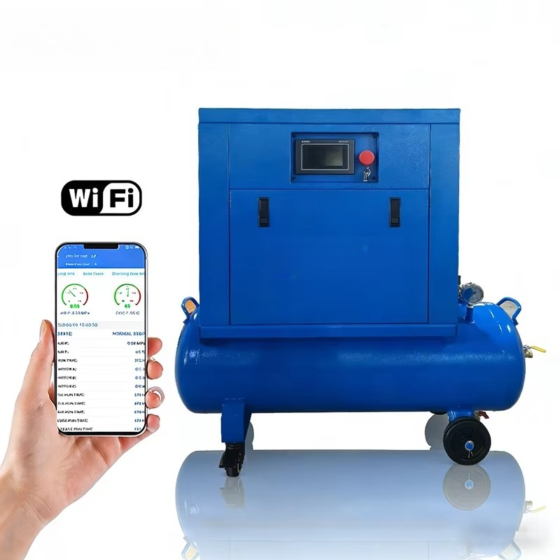 Mini Portable 2 in 1 Air Compr - Air Compressor Mini recension och pris